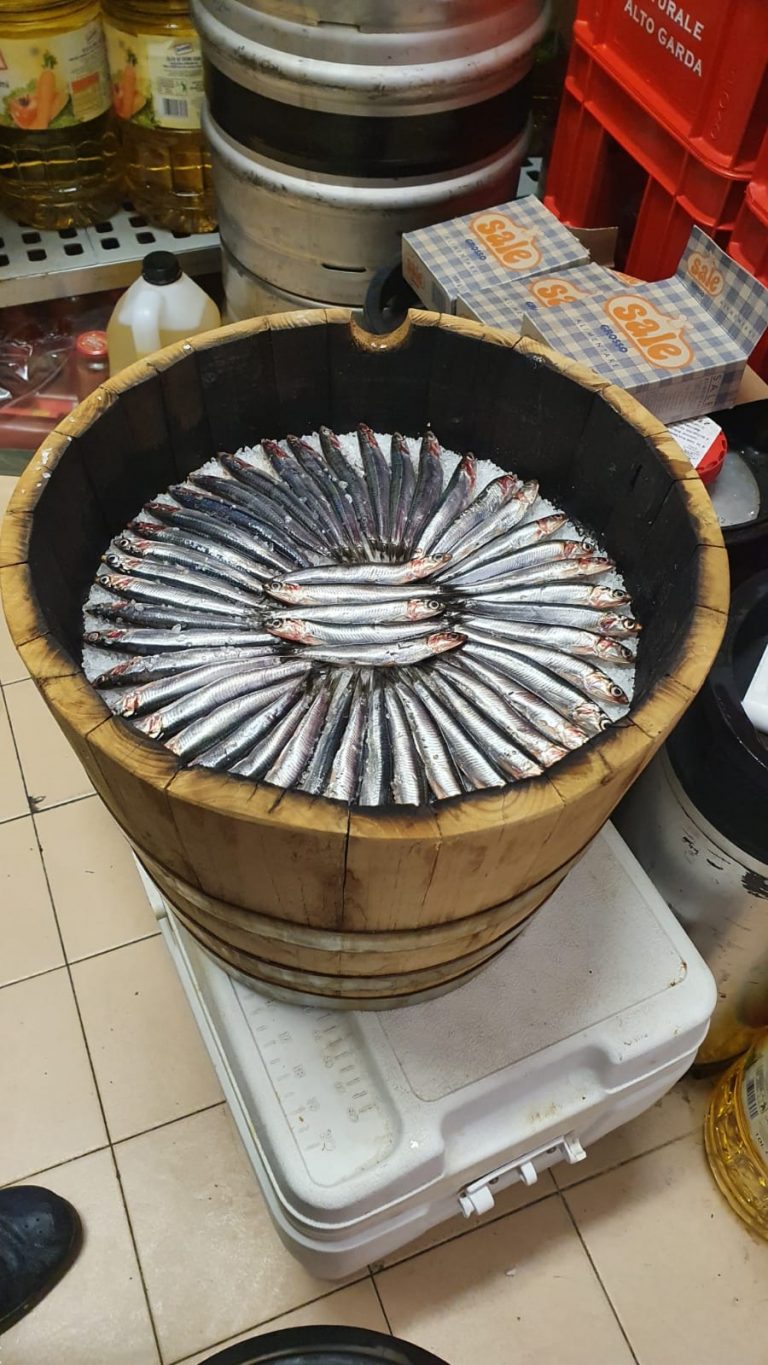 acciughe acciughe