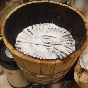Terzigno Colatura Acciughe 30Kg