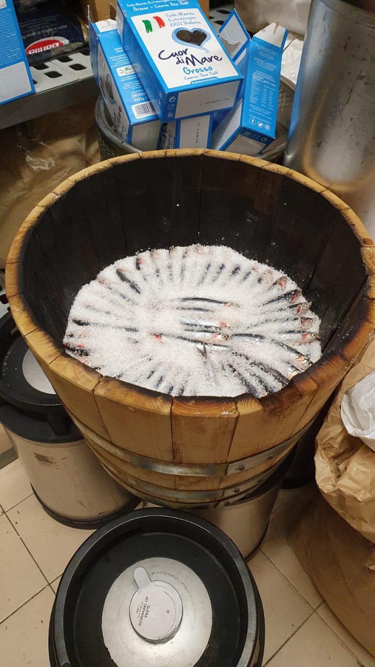 acciughe1 acciughe1